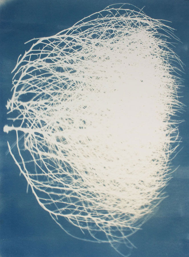 Einat Imber - Tumbleweed