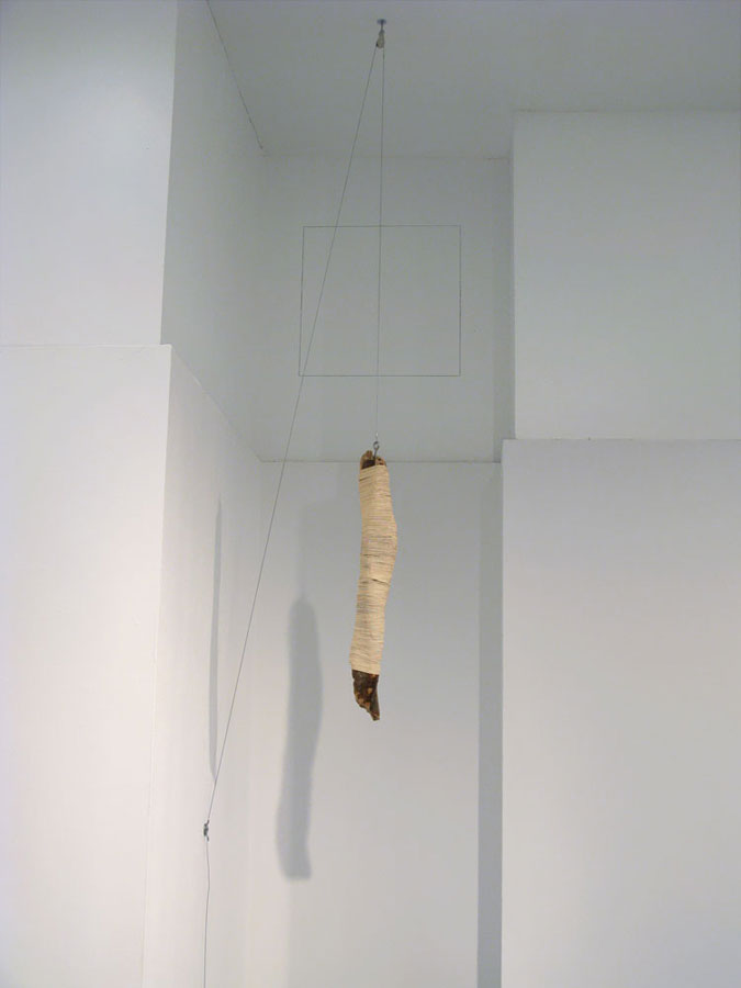 Einat Imber - Decoy